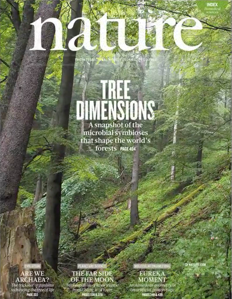 luciana alves in nature: climatic controls of decomposition drive the global biogeography of forest-tree symbioses