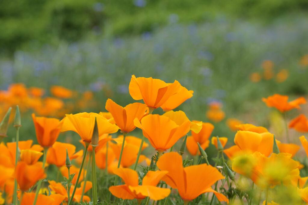 climate change and sustainability