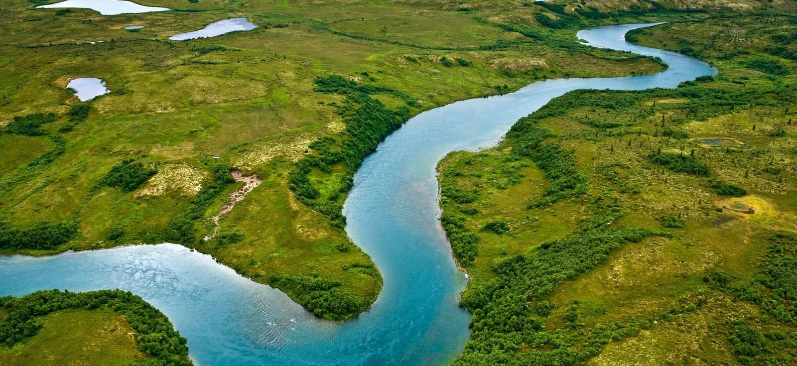 the nature conservancy