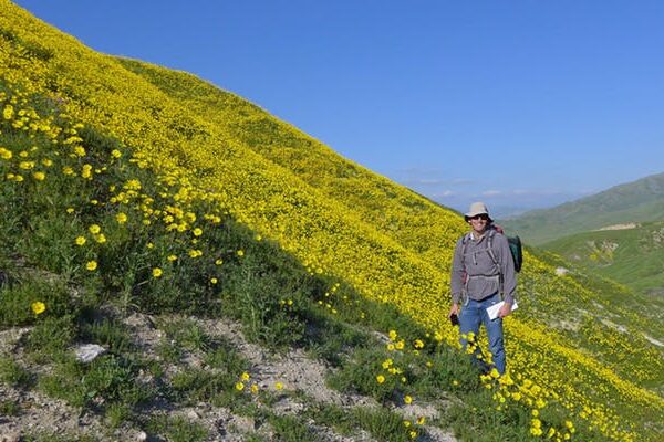 a botanist comes full circle