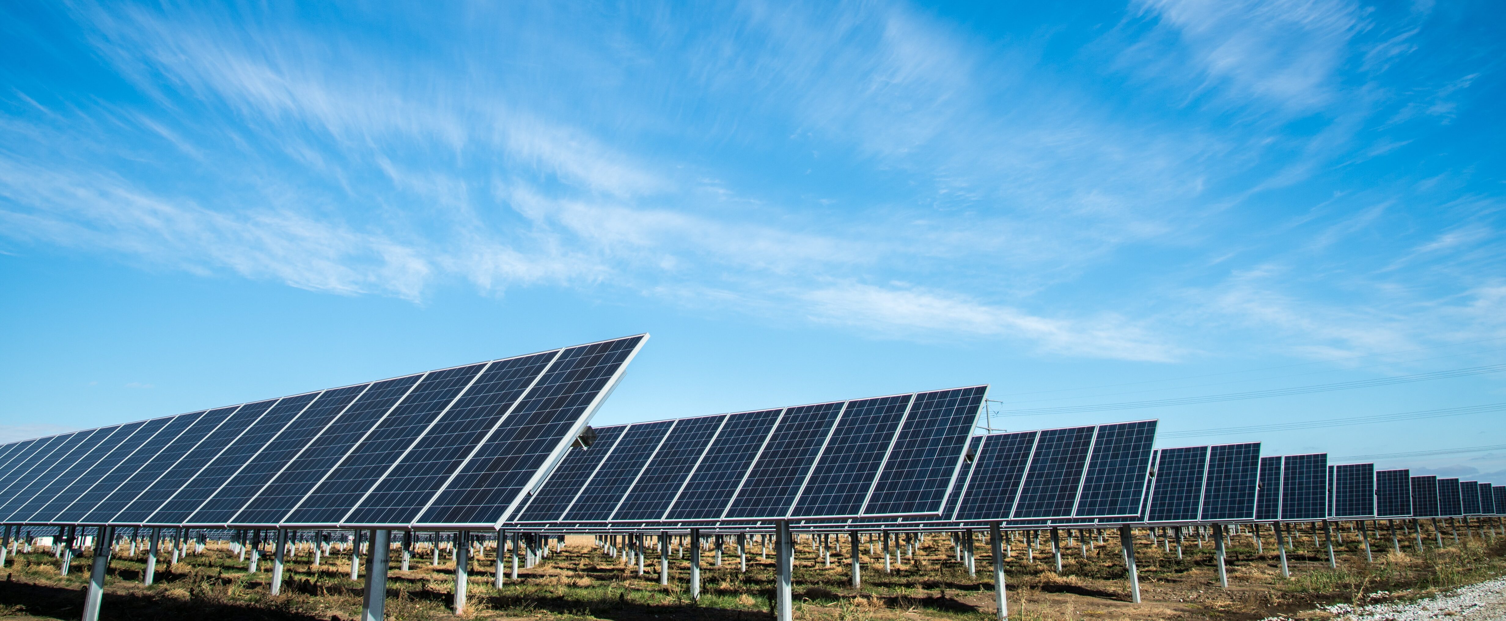 renewable energy: 2019-2020 focus
