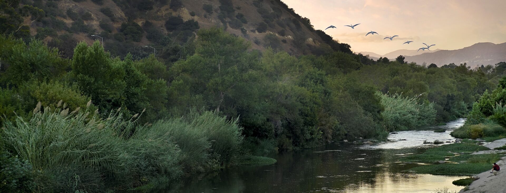 GreenShorts | Southern California