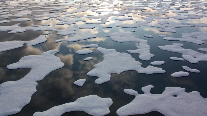global climate model evaluation