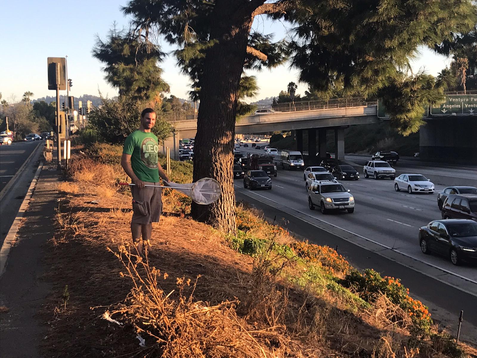 biodiversity of native species in los angeles