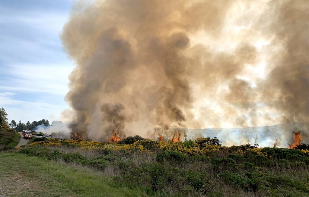 daniel swain in nbc news: some parts of california had no rain in february — and are already seeing wildfires