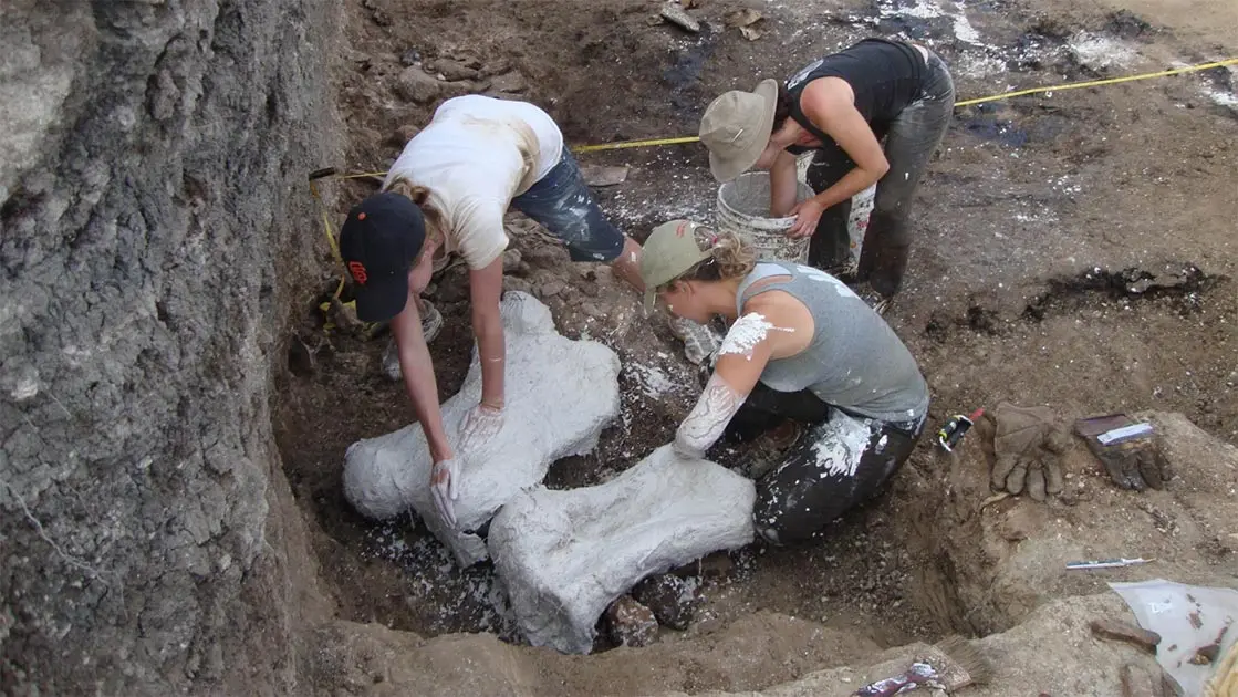 Emily Lindsey Research Featured in Ancient Origens: Giant Sloth Death Pit Reveals Death By Feces Ingestion