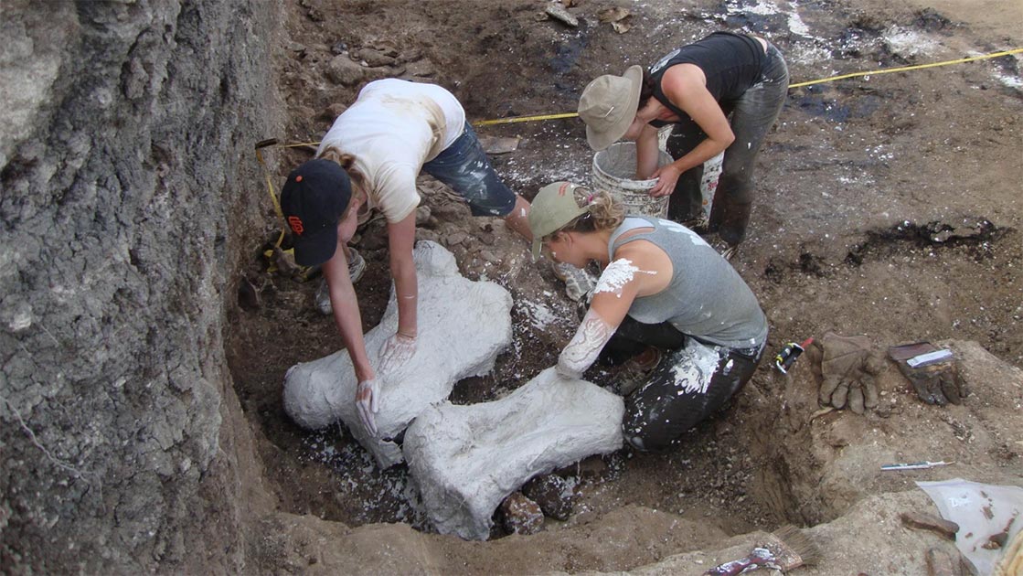 Emily Lindsey Research Featured in Ancient Origens: Giant Sloth Death Pit Reveals Death By Feces Ingestion