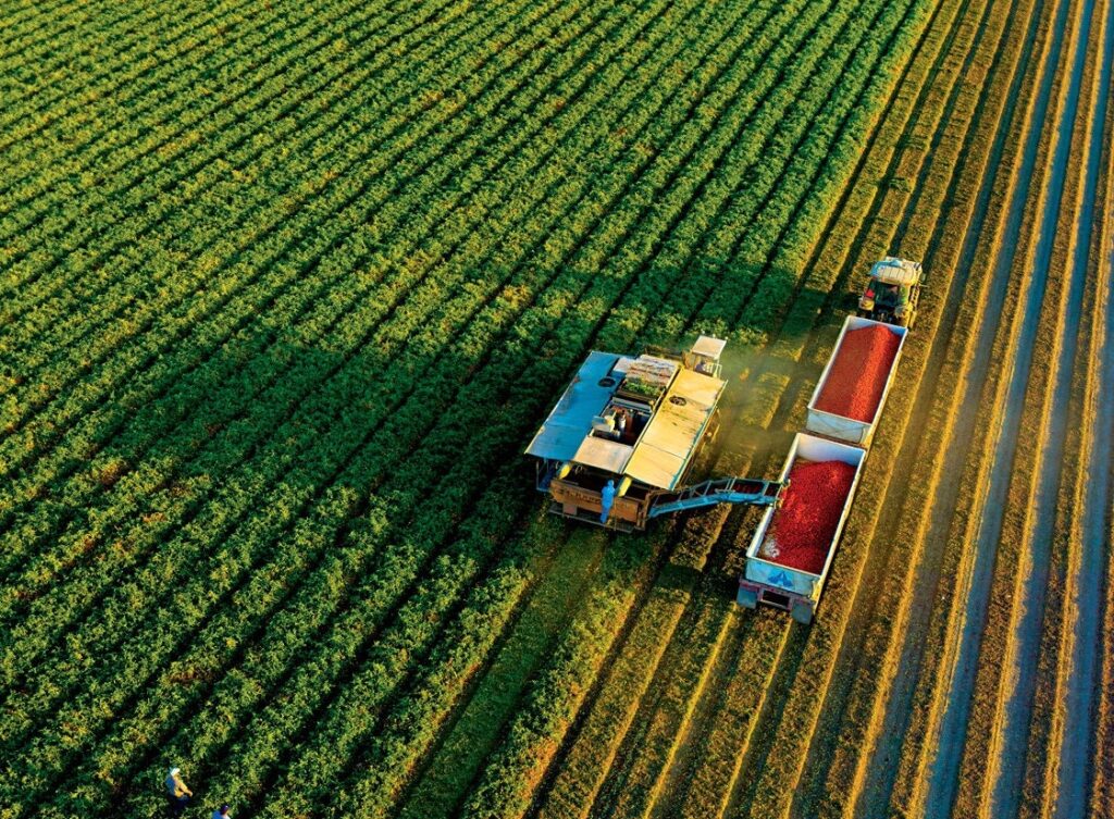 carbon sequestration through compost