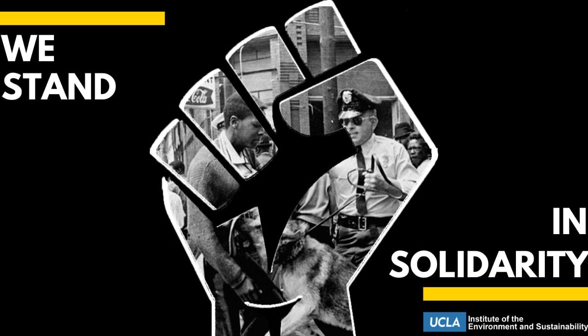 We stand in solidarity image