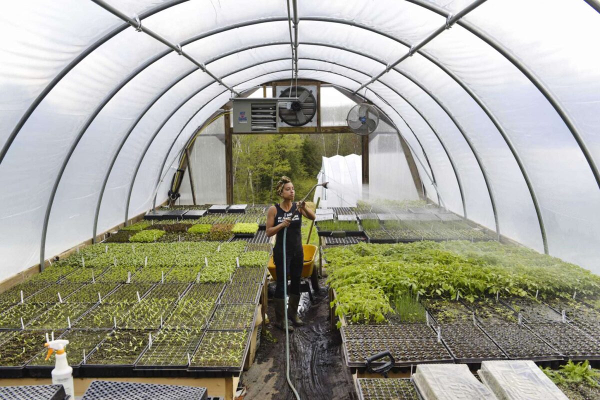 Pritzker Award Finalist Leah Penniman in The New York Times: Follow these three farms during the harvest of 2020