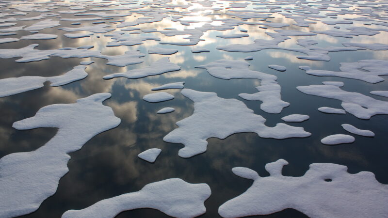 ice melting in owala｜TikTok Search