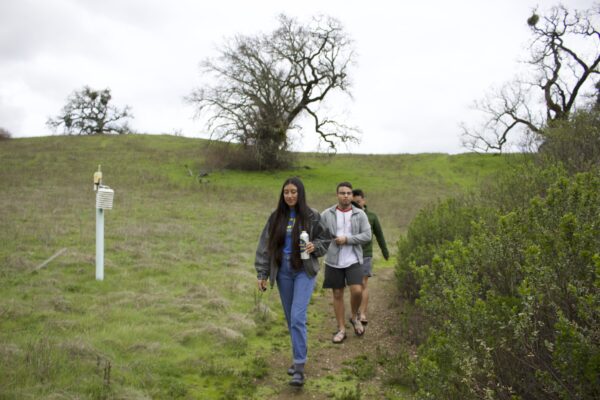 2020 environmental science students persevere through pandemic to graduate