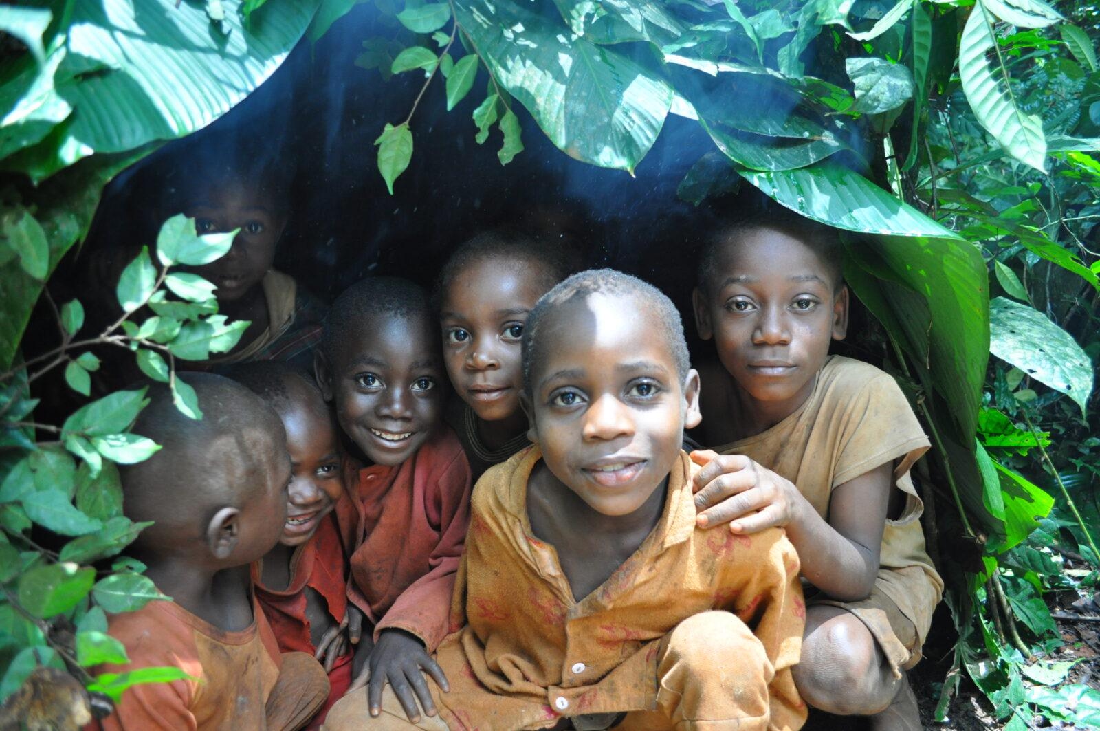 ucla congo basin institute receives $1 million from pritzker family foundation