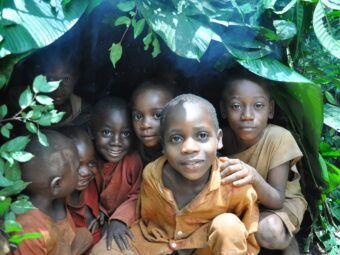 ucla congo basin institute receives $1 million from pritzker family foundation