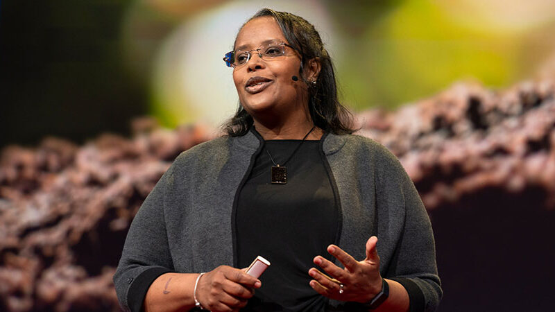 Professor Asmeret Asefaw Berhe giving a TED Talk