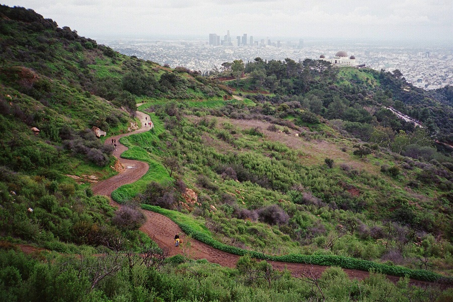 l.a. county taps ucla to help create first-ever sustainability plan