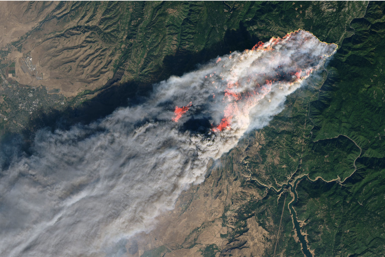 california’s 2018 wildfires have emitted a year’s worth of power pollution