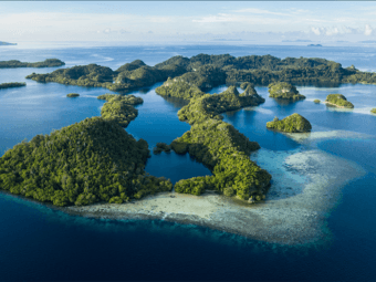 paul barber: what is the coral triangle?