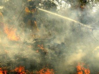 ‘repugnant and dangerous’: ignoring role of climate crisis, trump offers buffoonery on california wildfires