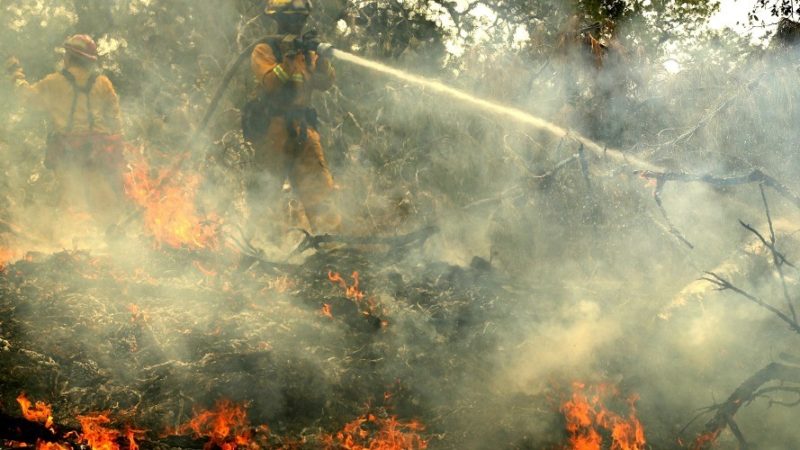 ‘repugnant and dangerous’: ignoring role of climate crisis, trump offers buffoonery on california wildfires