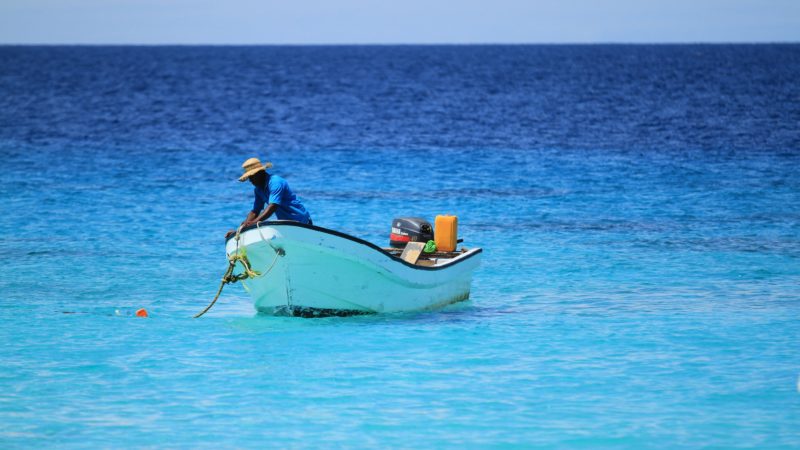 student research teams aim to bring island nations blue prosperity