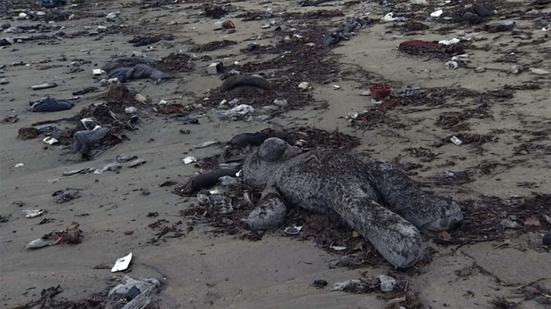 mark gold in laist: the rain has washing our sins onto socal’s beaches