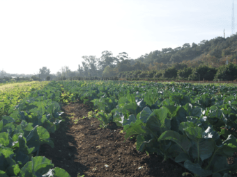 alex hall and neil berg, cal poly adapts to climate change, national report announces impacts