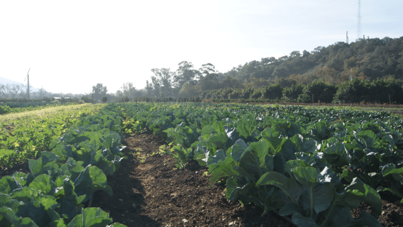 alex hall and neil berg, cal poly adapts to climate change, national report announces impacts