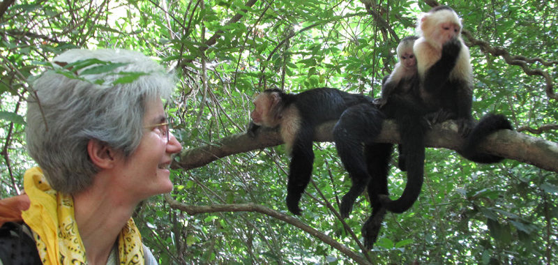 lomas barbudal monkey project