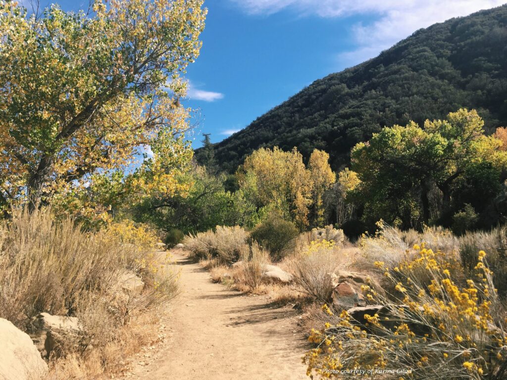creating a native seed bank for urban restoration in the los angeles basin