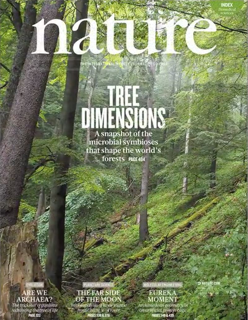 luciana alves in nature: climatic controls of decomposition drive the global biogeography of forest-tree symbioses