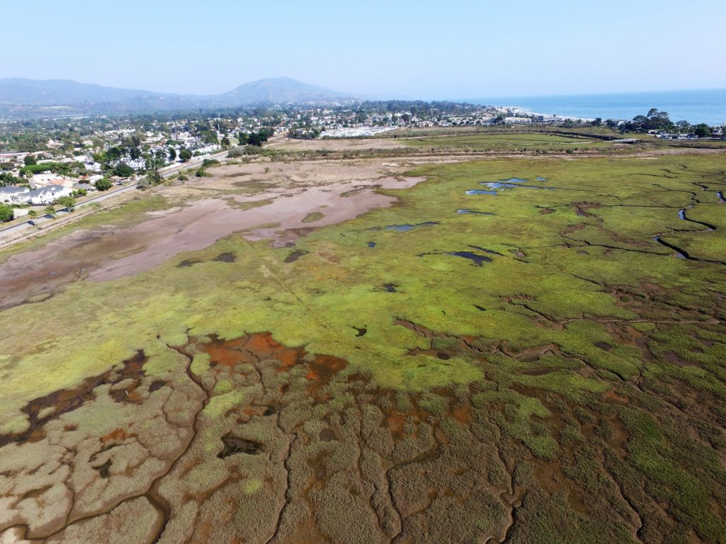 new hope for southern california’s besieged wetlands