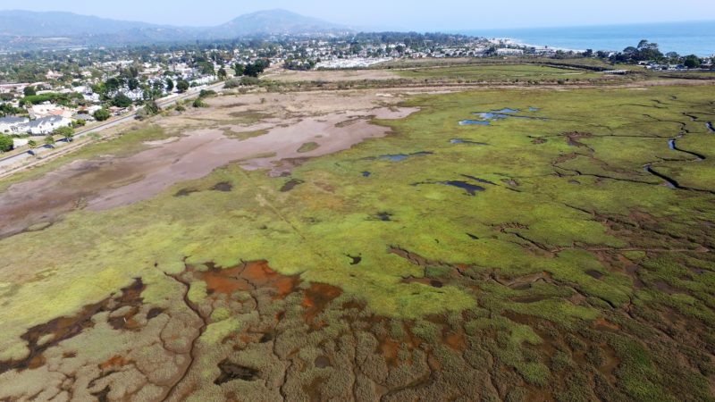 new hope for southern california’s besieged wetlands