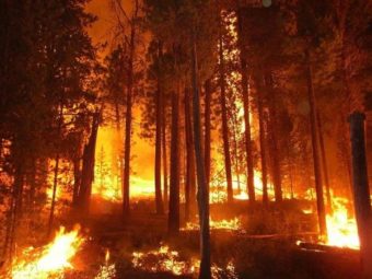 one planet: how is climate change fueling california fires?