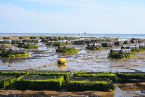 student research teams aim to bring island nations blue prosperity