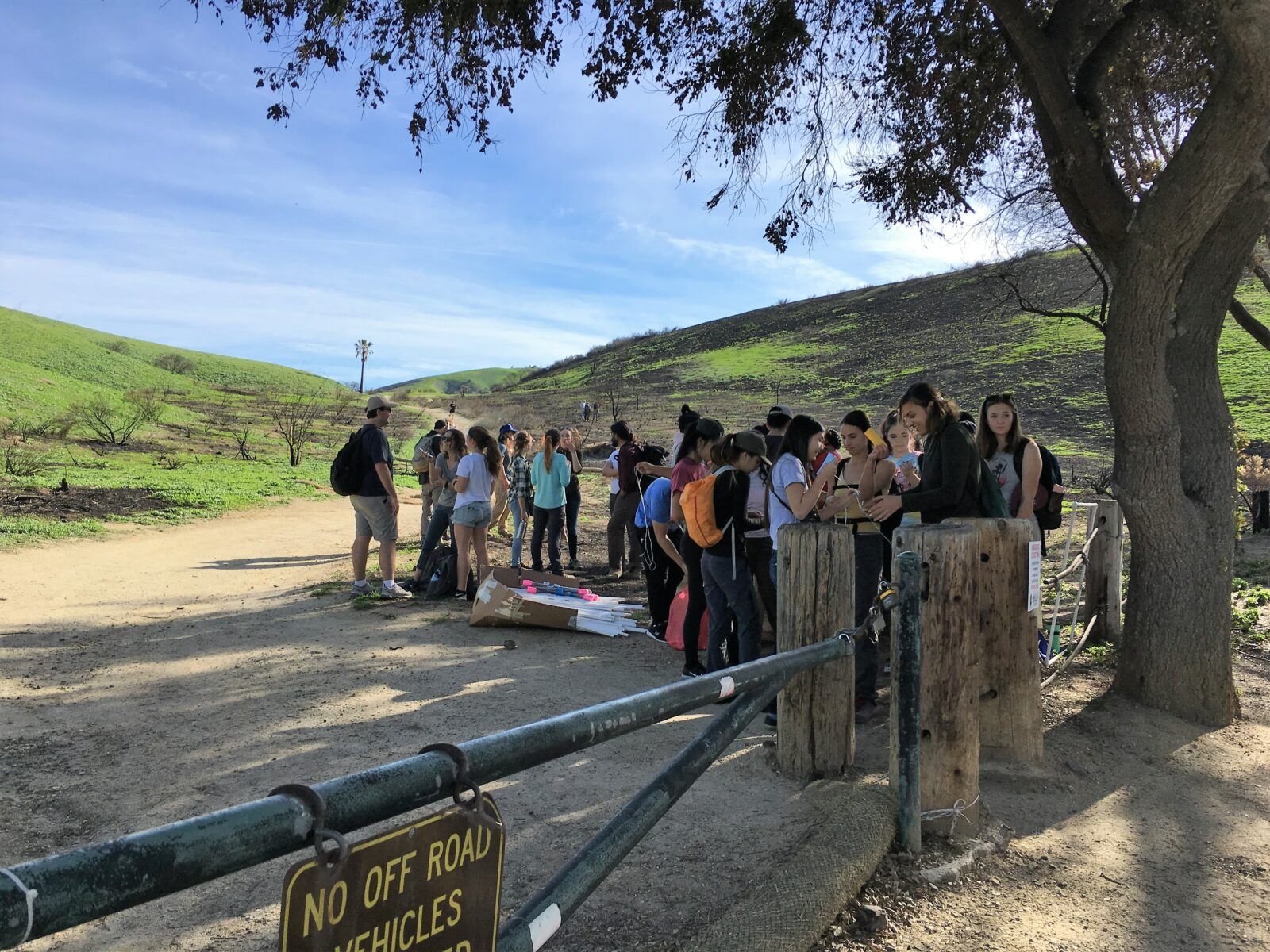 ecological and environmental impacts of the woolsey fire