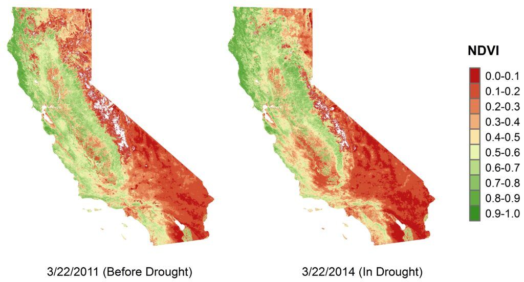 california ‘browning’ more in the south during droughts