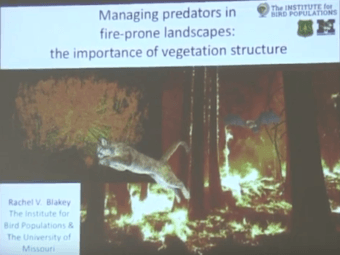 managing predators in fire-prone landscapes: the importance of vegetation structure