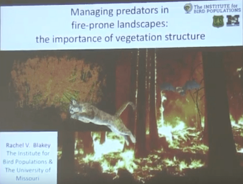 managing predators in fire-prone landscapes: the importance of vegetation structure