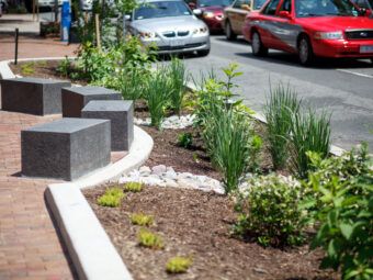 not just homeowners — businesses need sustainable landscaping too