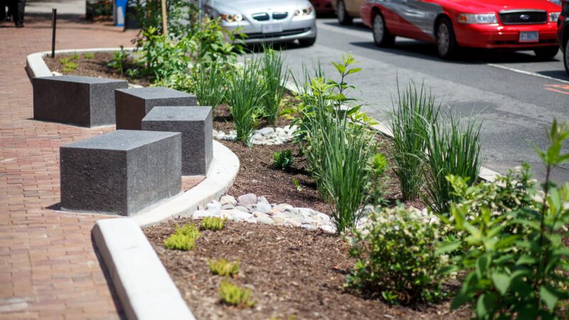 not just homeowners — businesses need sustainable landscaping too