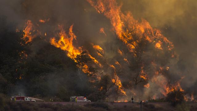 trump picks fight with california over wildfires