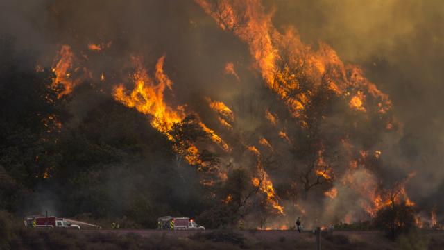 trump picks fight with california over wildfires