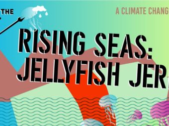 rising seas: jellyfish jerky