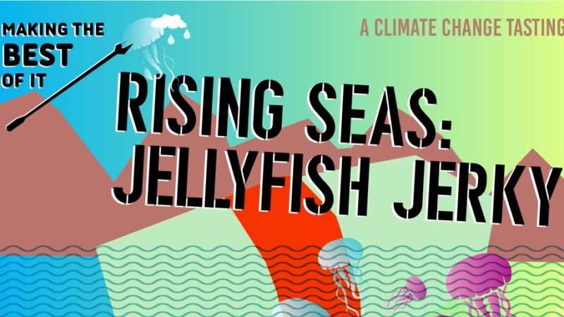 rising seas: jellyfish jerky
