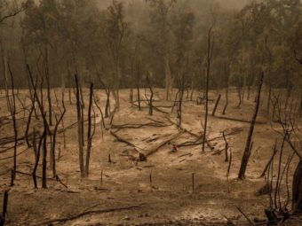 evidence found of ca wildfire vortex