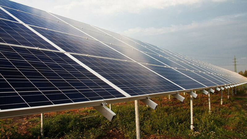ryan harrigan and tom smith study featured in colorado state university magazine — death by solar: $1.6 million doe grant supports scientists studying bird deaths at solar facilities