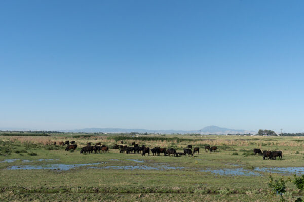 the california climate expedition