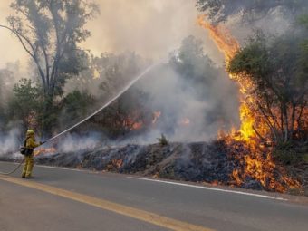 why are california’s wildfires so intense and what can be done?