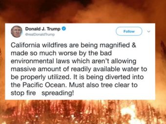 we asked an expert about trump’s baffling wildfire tweets. here’s what they had to say